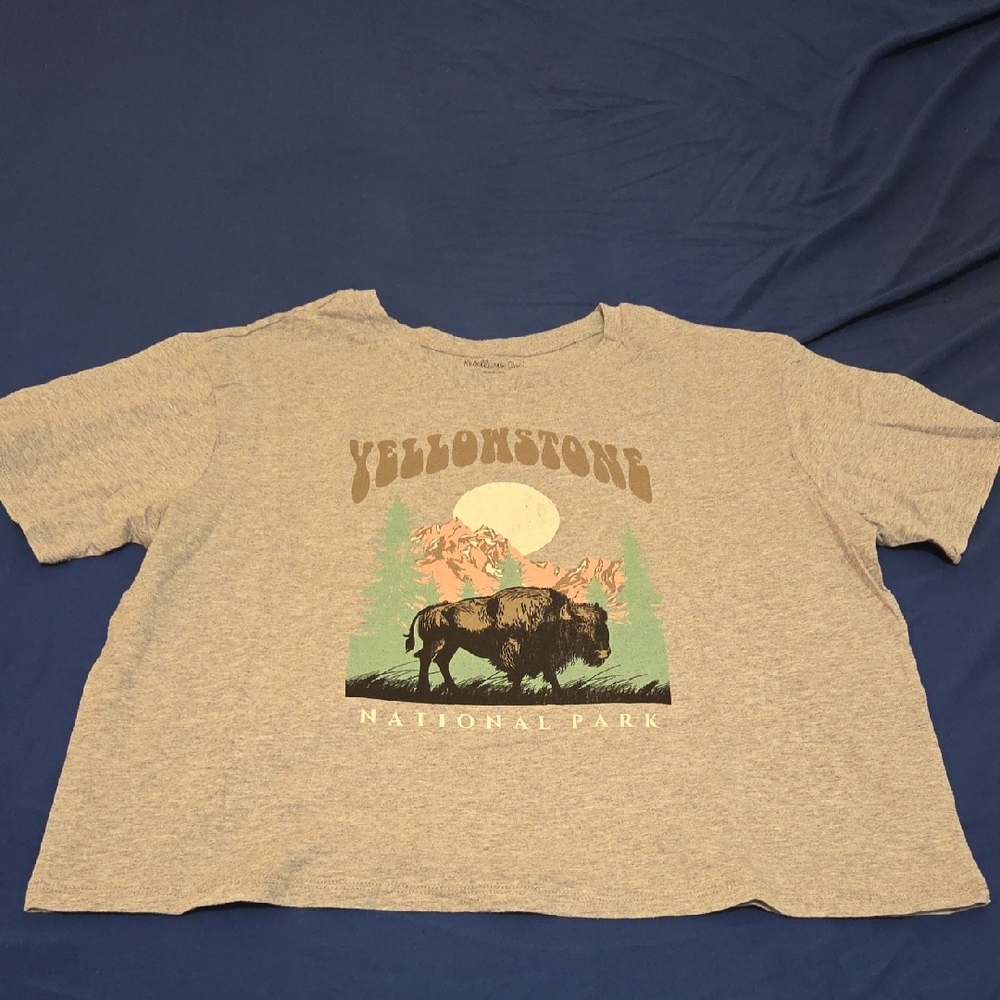 Rebellious One Gray Yellowstone Kids Tee